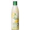 Shampoing lait de coco et miel Jamaican Mango and Lime 237ml