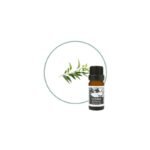 Huille Eucalyptus Citronné Bio anti-inflammatoires Codina 10ml