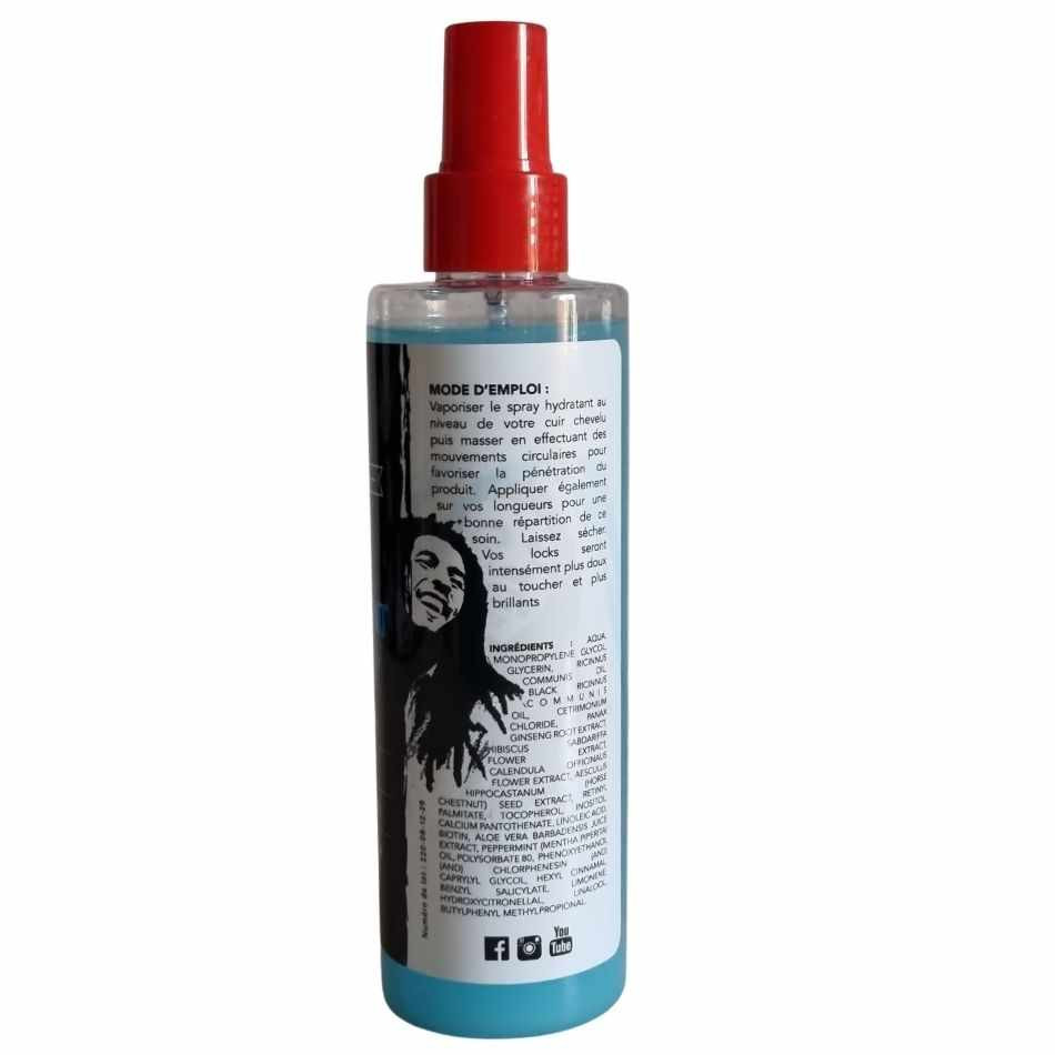 SPRAY HYDRATANT ANTI DÉMANGEAISON CRAZY LOCKS AFRO NATUREL - Cercledebene.com