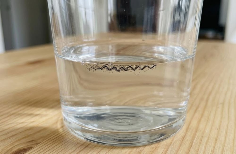 Verre d'eau avec un cheveu crépu qui flotte à la surface pour tester la porosité des cheveux